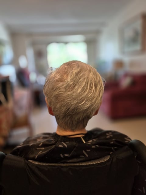 Back of an older person with short gray hair wearing a black jacket, viewed from behind in an indoor home setting